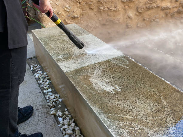 Best Roof Pressure Washing  in Tonka Bay, MN